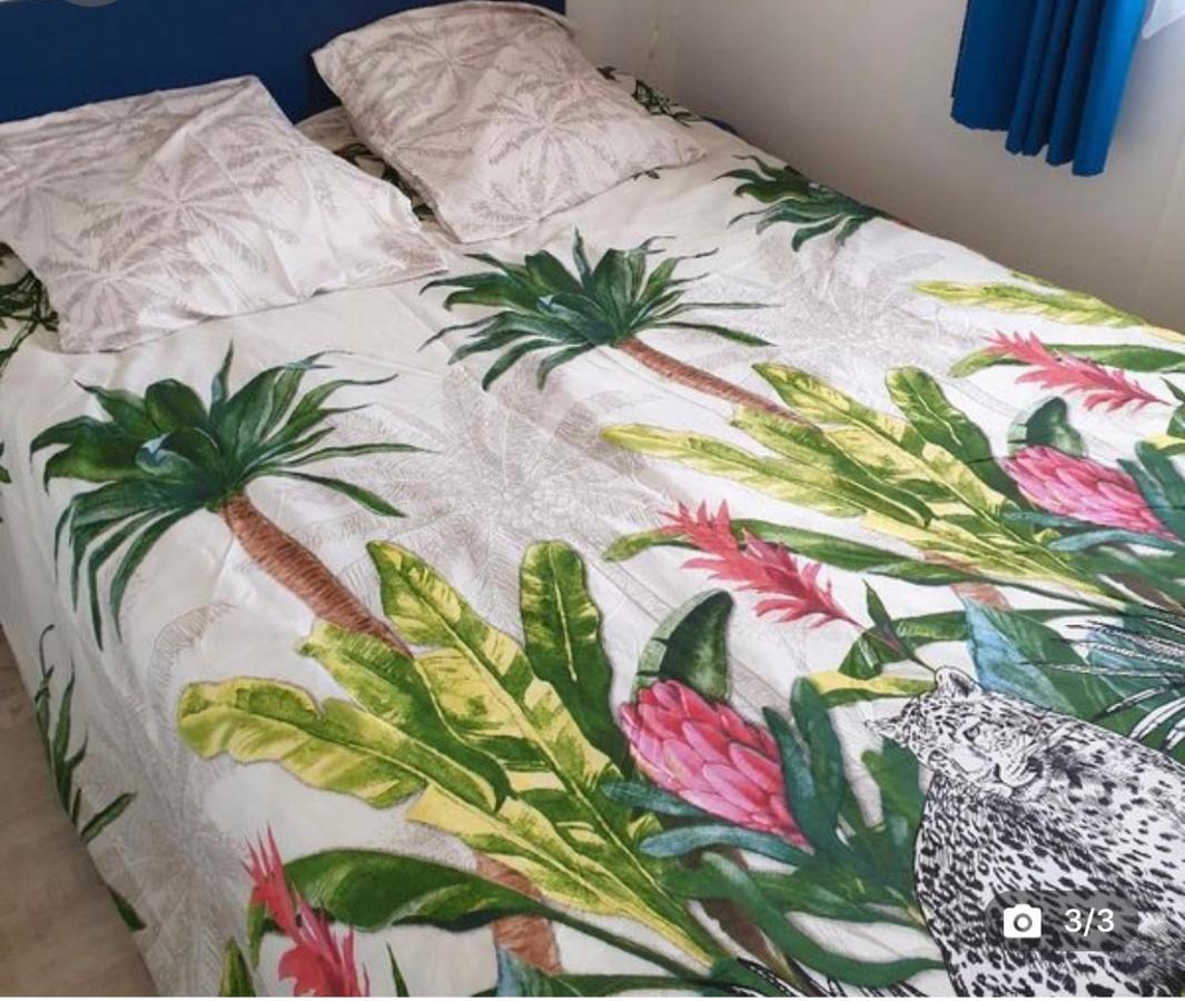 Mobilehome 3 Chambres Curistes Camping Piscine แซ็ง-โปล-เล-ดักซ์ ภายนอก รูปภาพ
